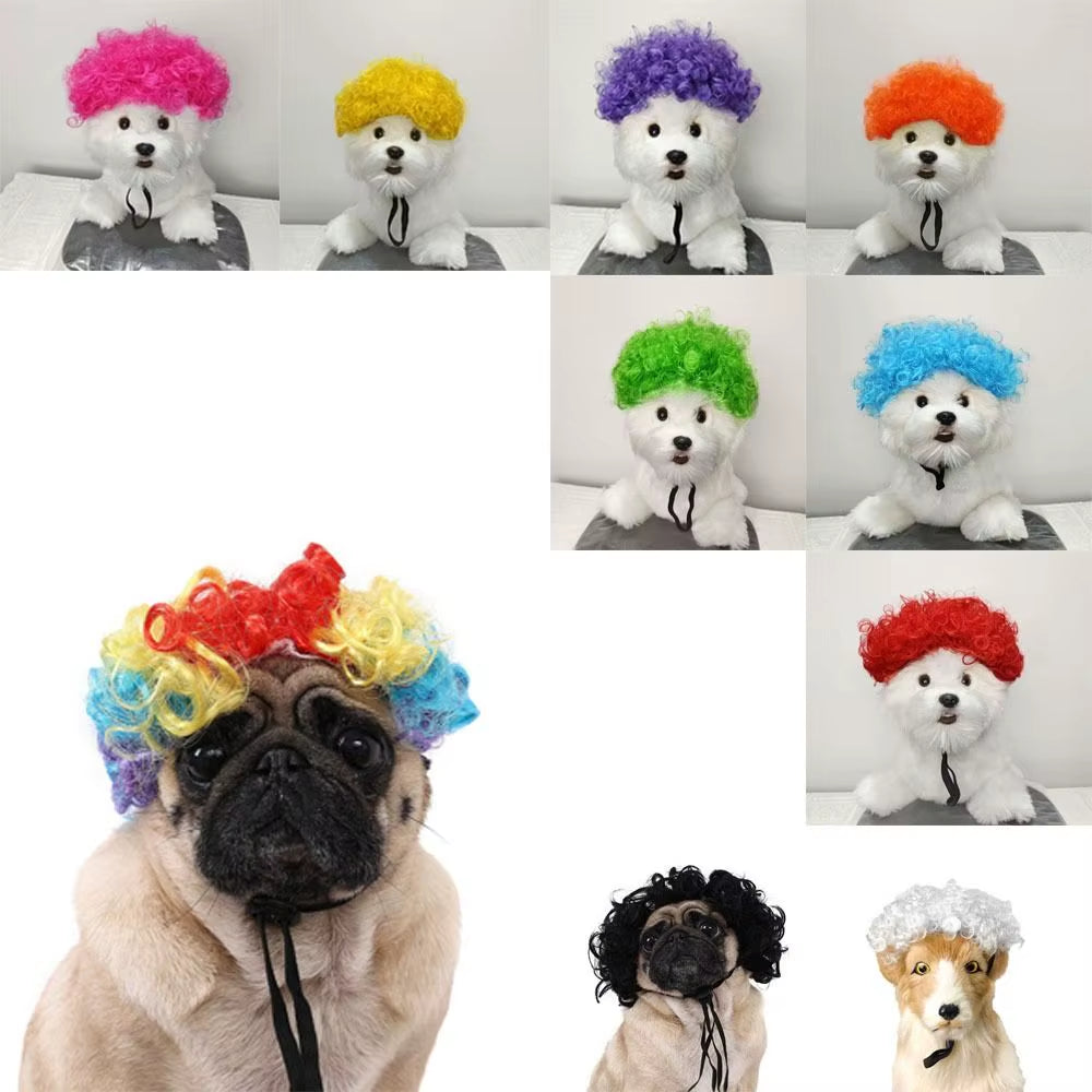 Creative Funny Pet Wig Adjustable Afro Design Dog Wig Elastic Band Design Cat Wig Pet Cosplay Props Photography Prank Gifts