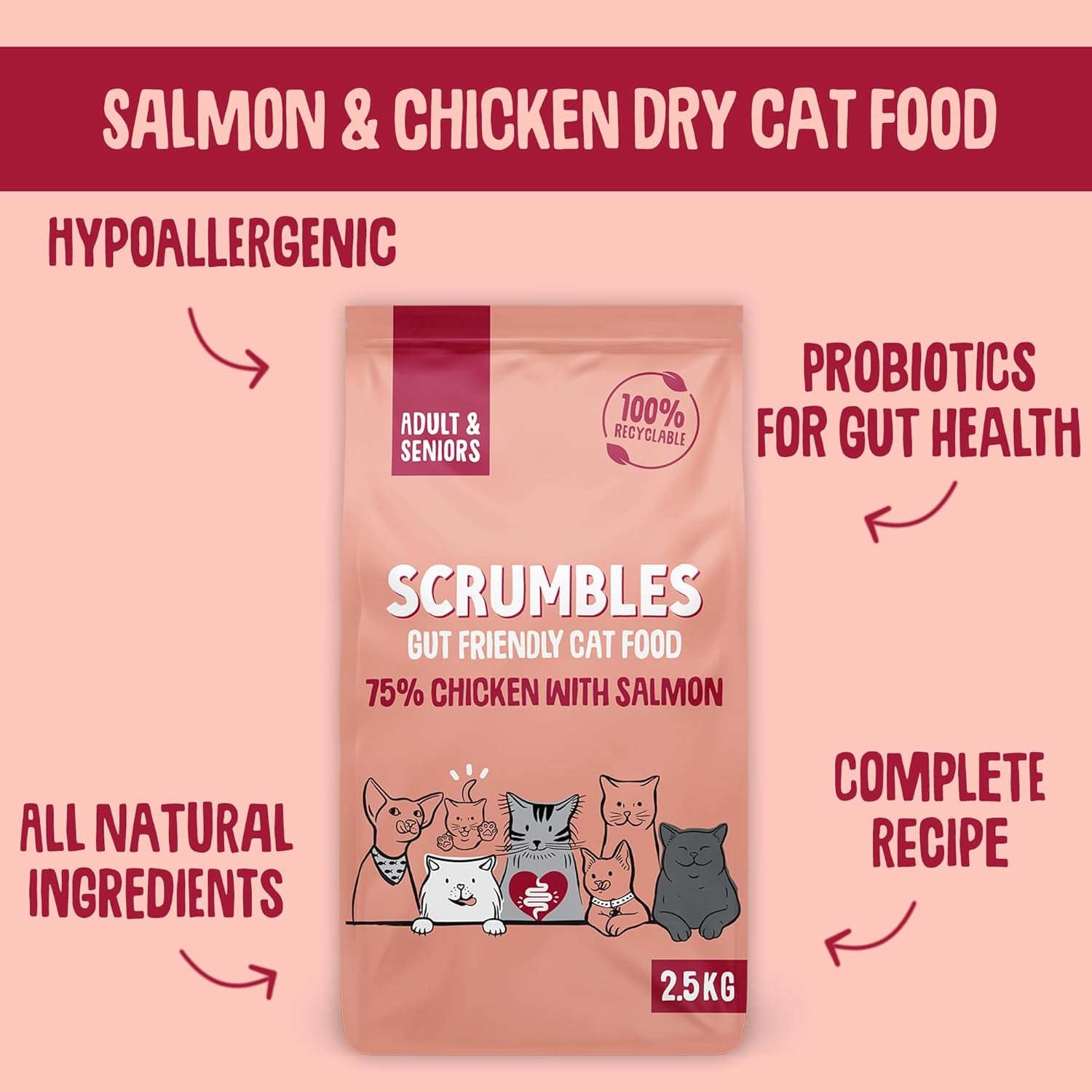 Scrumbles All Natural Dry Cat Food with 75% Chicken and Fresh Salmon, High Protein Food for Adults and Seniors, 750 G