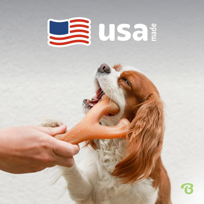 Indestructible Wishbone Dog Chew Toy for Aggressive Chewers, Long Lasting Tough Boredom Breaker for Dogs, Real Bacon Flavour, for Small Dogs, Made in the USA.