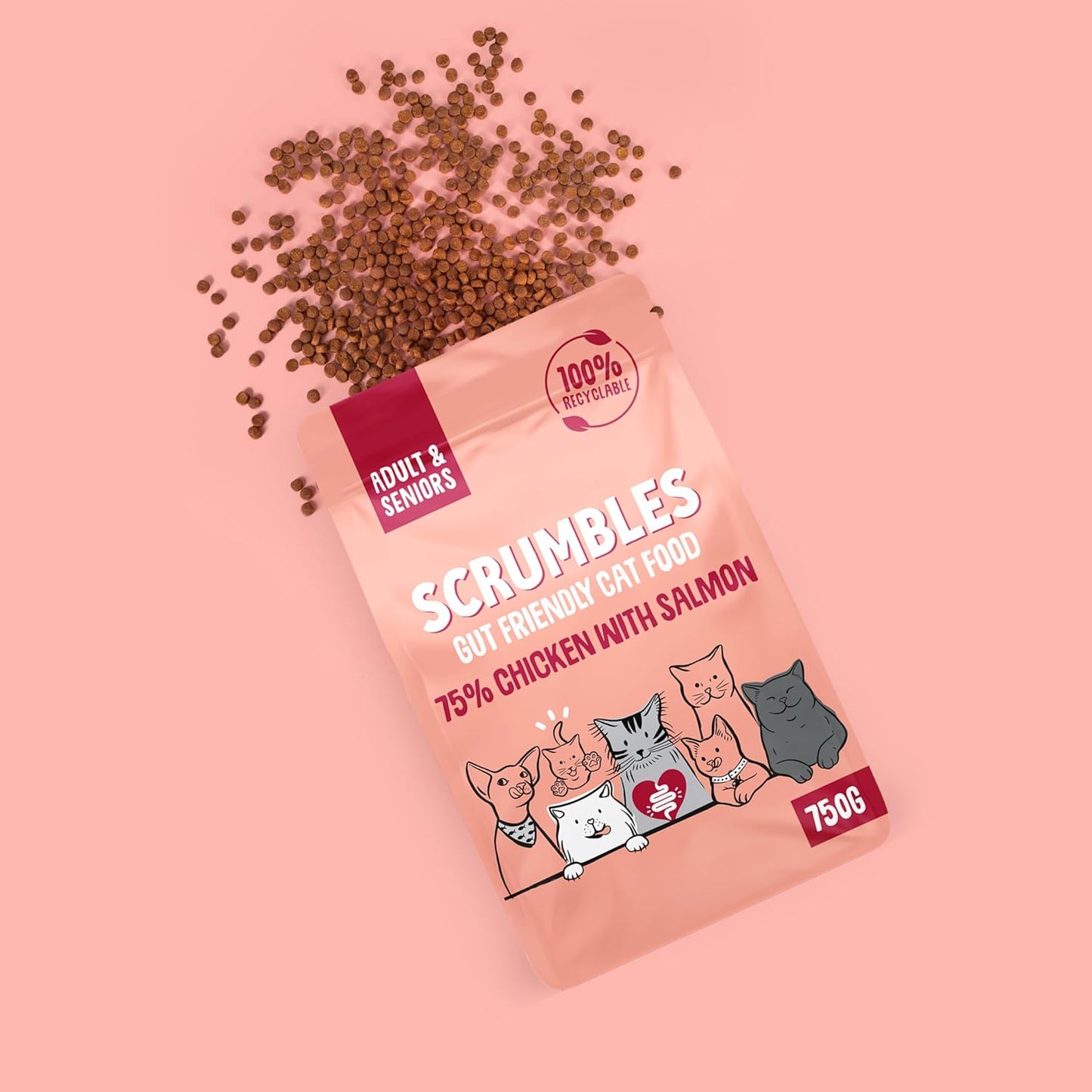 Scrumbles All Natural Dry Cat Food with 75% Chicken and Fresh Salmon, High Protein Food for Adults and Seniors, 750 G