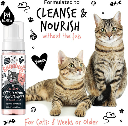 Bugalugs No Rinse Cat Shampoo & Conditioner with Papaya & Coconut. Brush Through, for Cats and Kittens. Foam Action Grooming Dry Shampoo Kitten (No Rinse Shampoo)