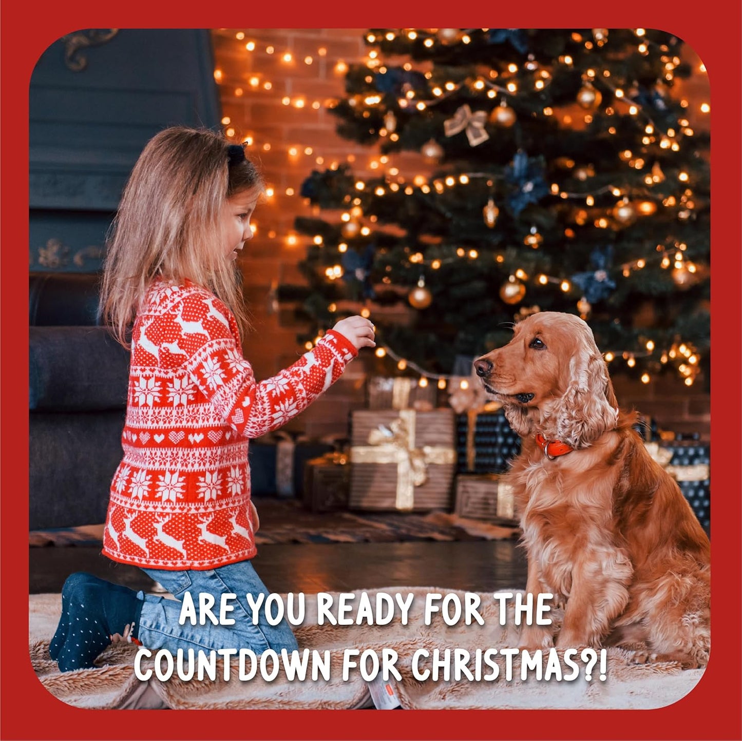 Cupid & Comet Christmas Dinner & Toys Stocking Gift, Dog Treats (Pack of 2)