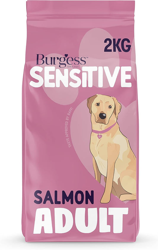 Sensitive Dry Dog Food Salmon, 2Kg