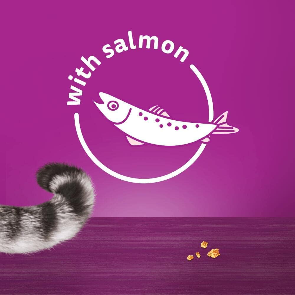 Whiskas Temptations - Tasty, Crunchy Treats for Adult Cats, Small Bite Size Snacks with a Delicious Salmon Flavour Filling, 4X180 G Packets - Pack May Vary