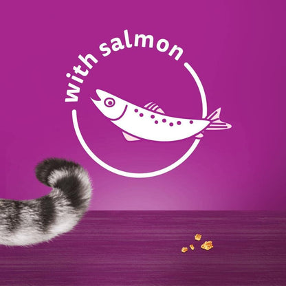 Whiskas Temptations - Tasty, Crunchy Treats for Adult Cats, Small Bite Size Snacks with a Delicious Salmon Flavour Filling, 4X180 G Packets - Pack May Vary