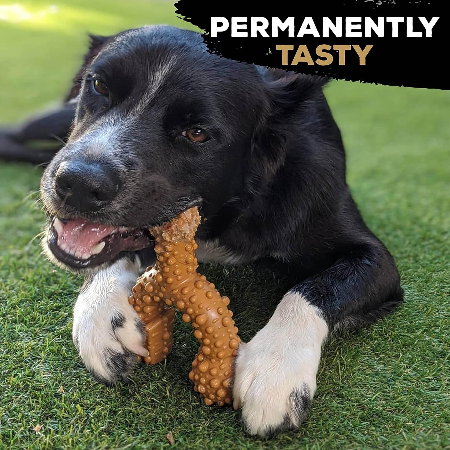 Tastybone Triobone Nylon Dog Chew Toy for Small Dogs (Lamb) - Indestructible for Aggressive Chewers, Everlasting Flavour, Strong Healthy Teeth, Made in the UK