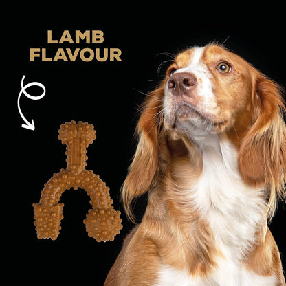 Tastybone Triobone Nylon Dog Chew Toy for Small Dogs (Lamb) - Indestructible for Aggressive Chewers, Everlasting Flavour, Strong Healthy Teeth, Made in the UK