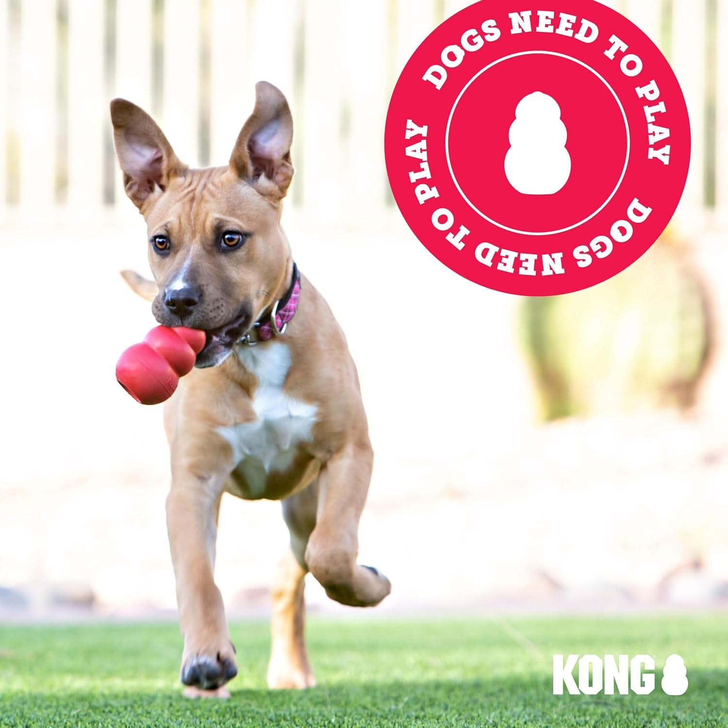Classic Stuffable Dog Toy - Fetch & Chew Toy for Dogs - Treat-Filling Capabilities - Durable Natural Rubber Material - for Small Dogs