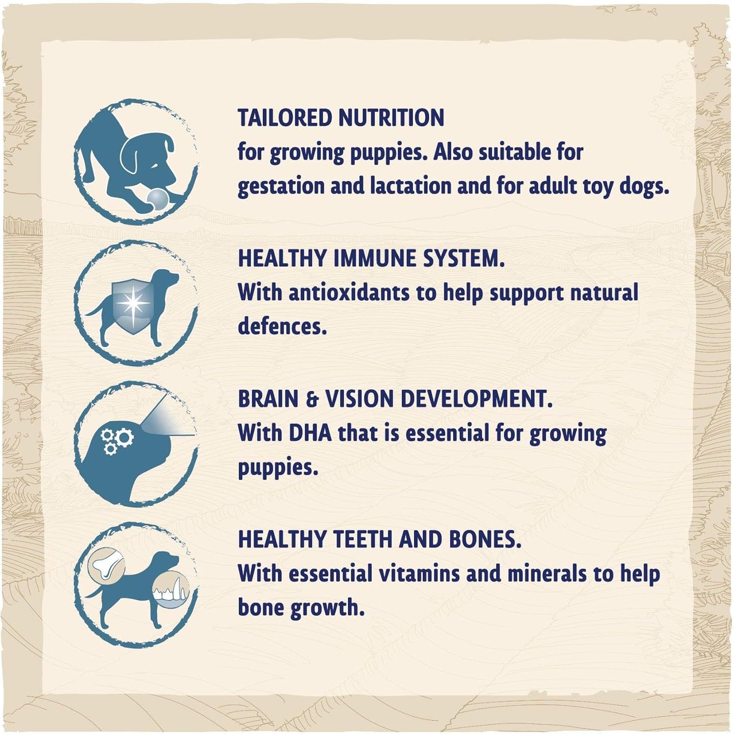 Puppy Small Breed Dry Dog Food Chicken 2Kg