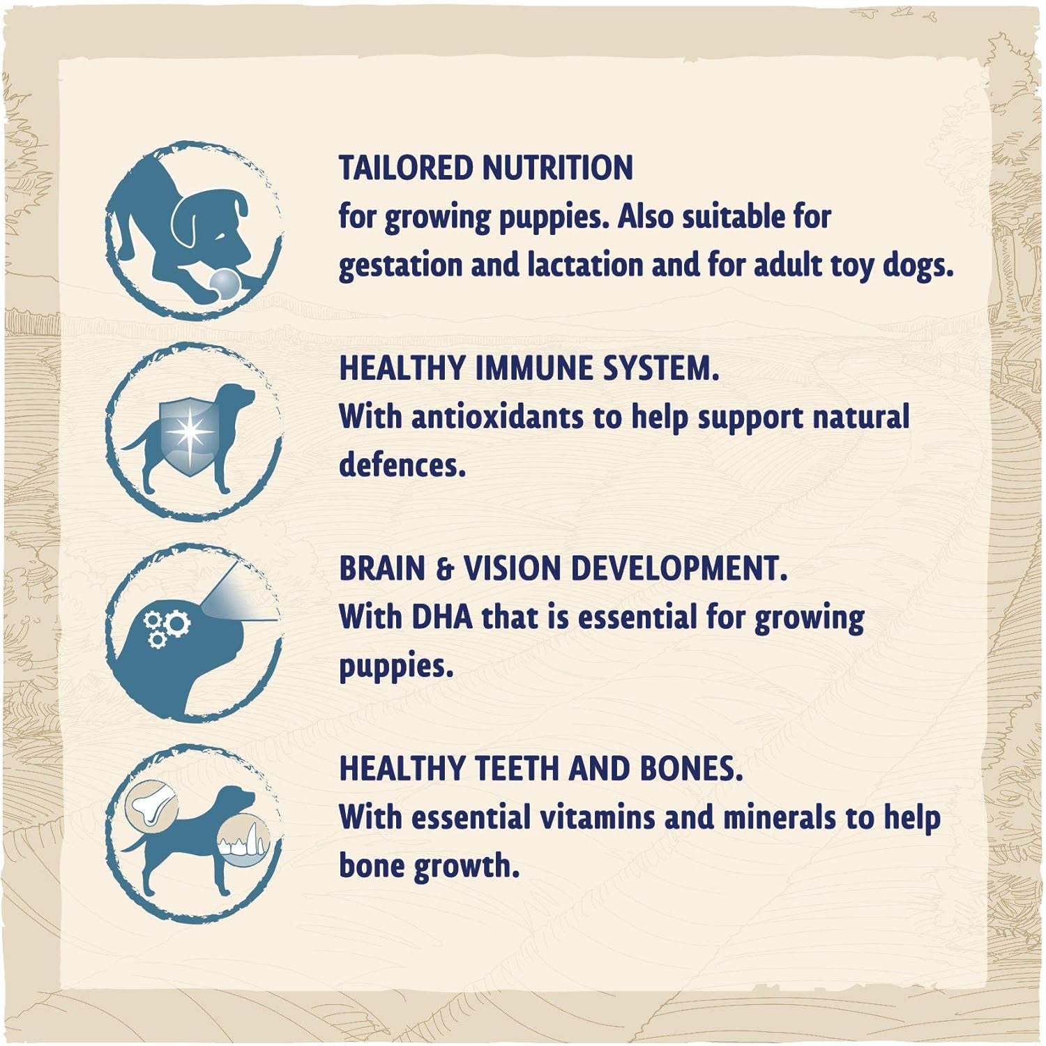 Puppy Small Breed Dry Dog Food Chicken 2Kg