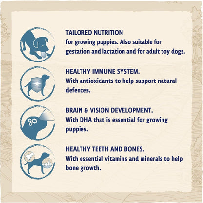 Puppy Small Breed Dry Dog Food Chicken 2Kg