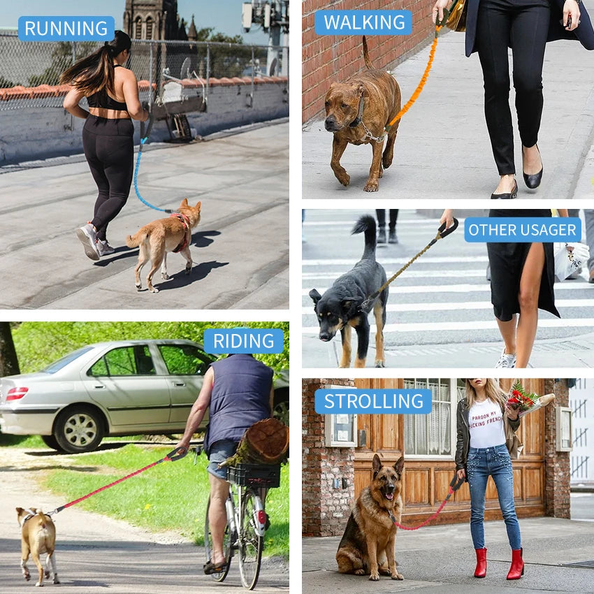 Dog Leash Elastic Reflective Pet Leashes with Padded Handle Safe Leader Rope for Dog NO Pull Walking Running Pet Accessories