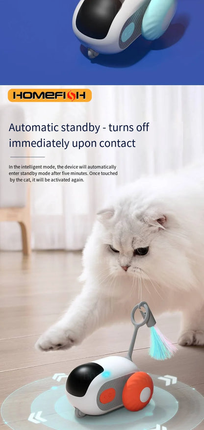 Remote Controlled Smart Car for Cats 
