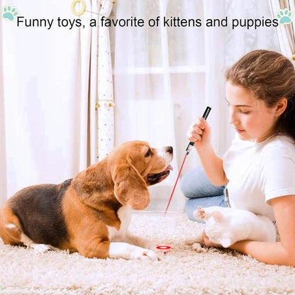 Multi Color Cat Training Laser Pen 
