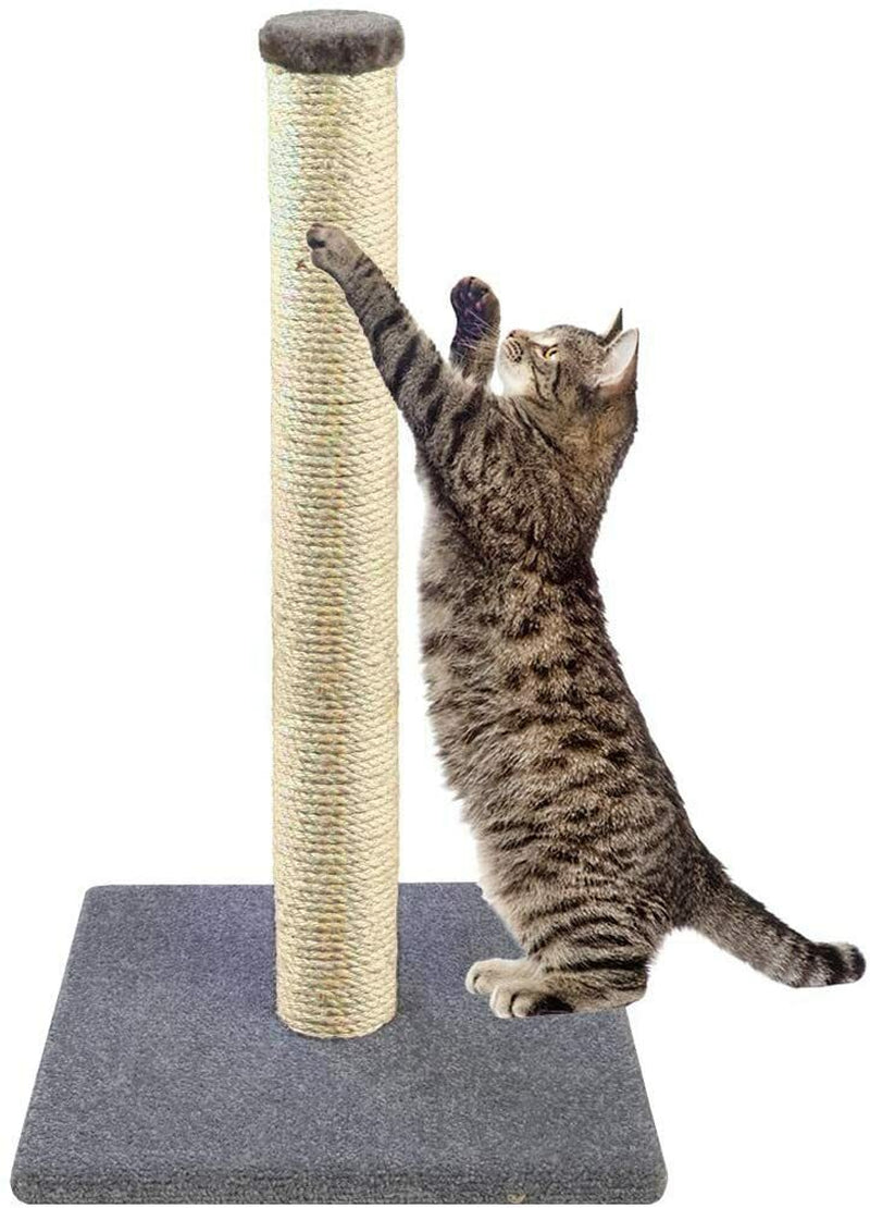 Cat Scratching Post Natural Sisal Pole and Carpet Covered 31 Inch Tall