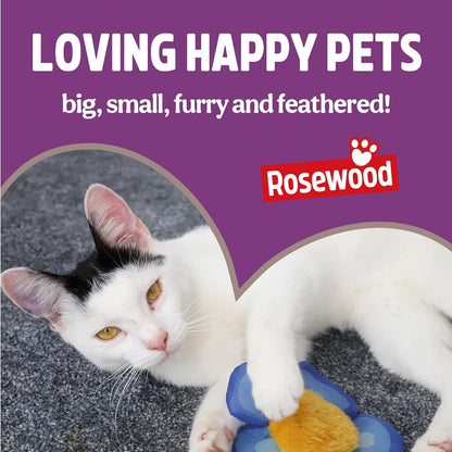 Rosewood Daily Eats Crunchy Cushions Variety Box - Chicken, Cheese, and Salmon Treats for Cats, Tasty Cat Treats with Taurine, Added Vitamins and Minerals, Small Bite Sized Cat Snacks (12Pc, 720G Box)