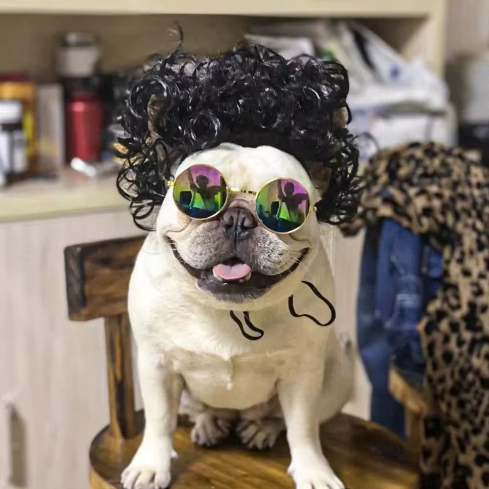 Creative Funny Pet Wig Adjustable Afro Design Dog Wig Elastic Band Design Cat Wig Pet Cosplay Props Photography Prank Gifts