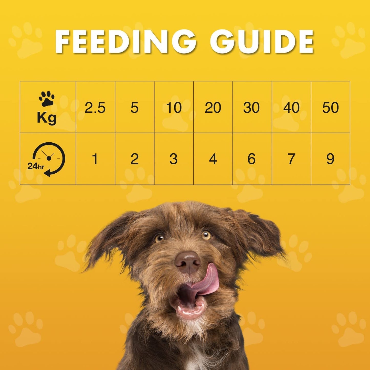 Fillet Dog Treat (100G) Flavour: Chicken Breast
