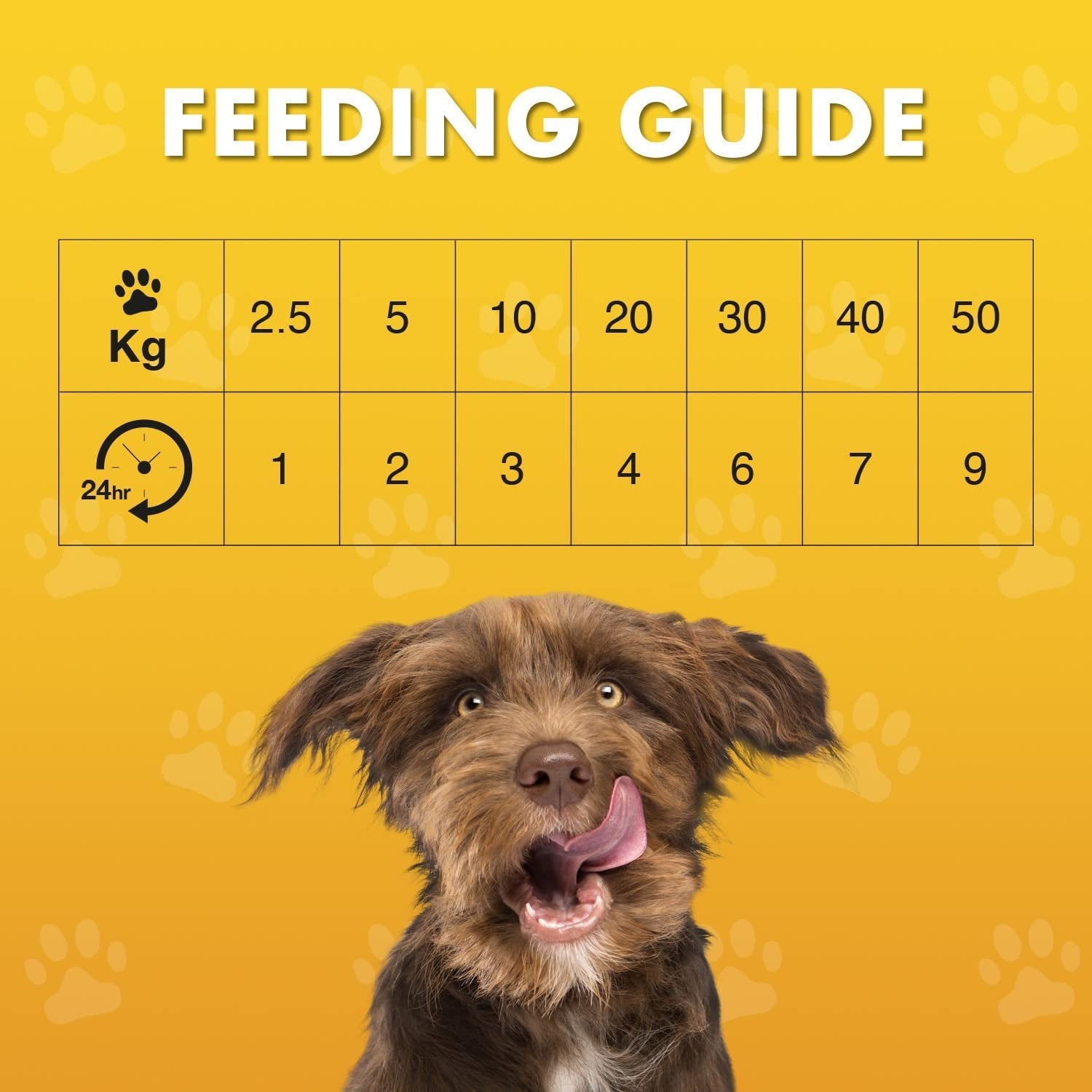 Fillet Dog Treat (100G) Flavour: Chicken Breast