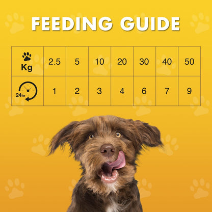Fillet Dog Treat (100G) Flavour: Chicken Breast