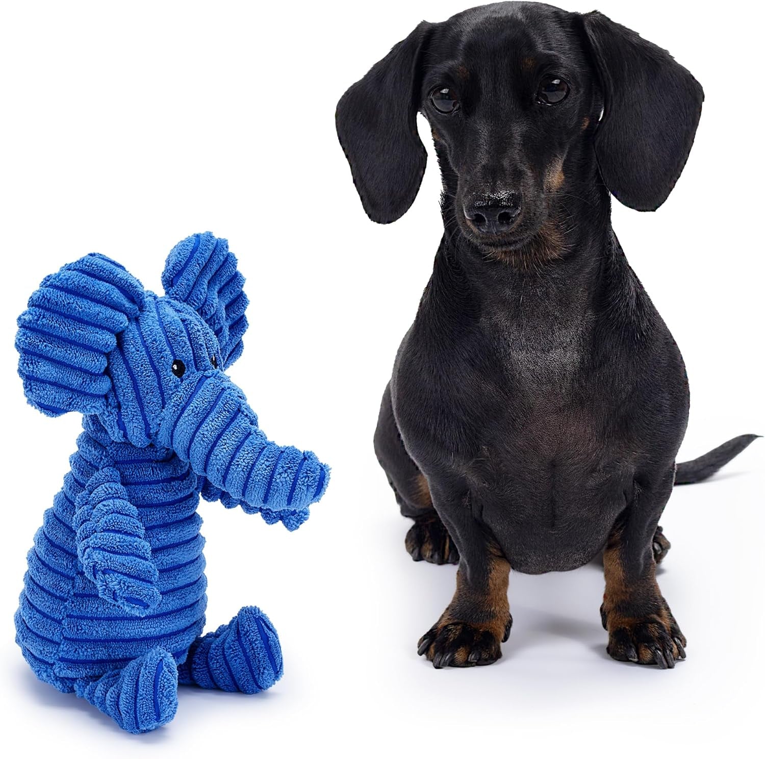 Blue Elephant Plush Dog Toy with Squeaker – Soft, Durable, Ribbed Plush for Cuddling and Play. Perfect for Small and Medium Dogs Who Enjoy a Squeaky Toy for Comfort and Interaction.