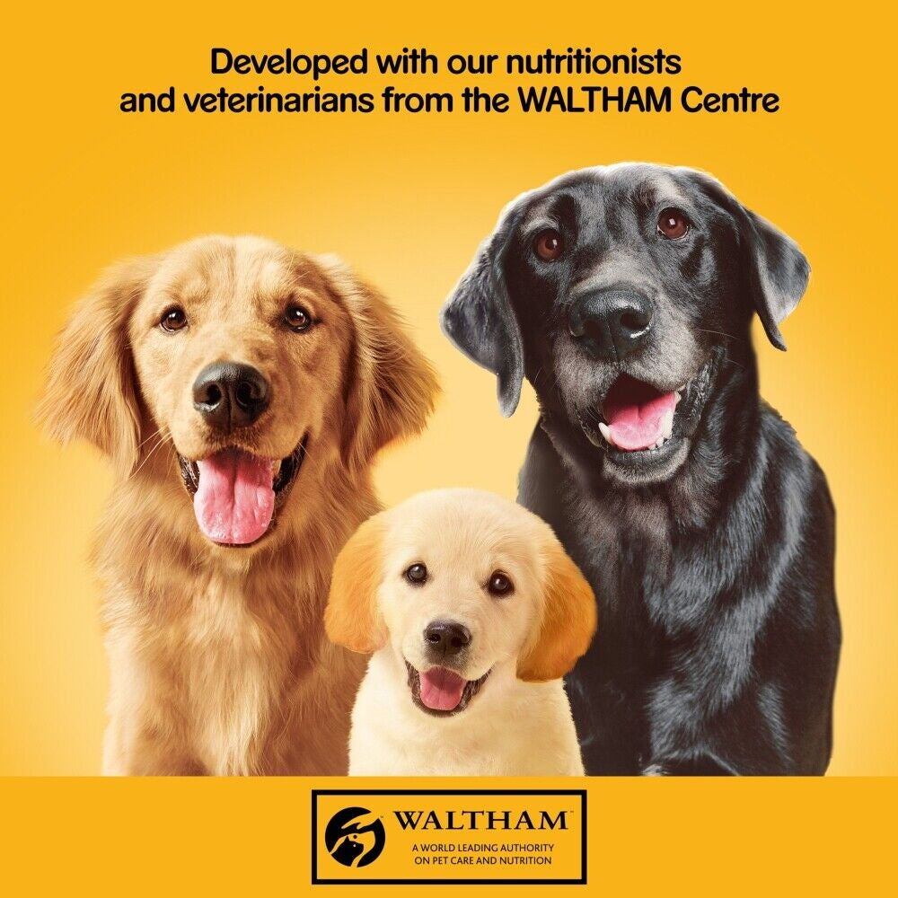 PEDIGREE MIXED CAN SELECTION in JELLY 24 X 385G Dog Food Bpl Chicken Lamb & Beef