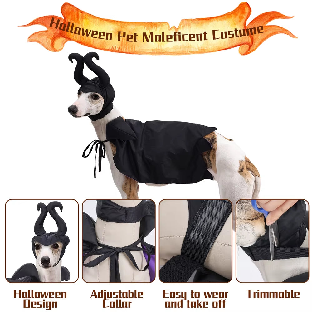 Halloween Dog Costume Black Purple Pet Maleficent Costume for Cats Dogs Adjustable Dog Dress up Cape with Hat Funny Party Outfit
