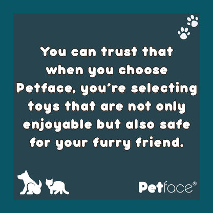 Farmyard Buddies Mini Chicken Plush Dog Toy