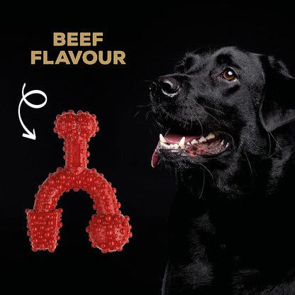Tastybone Triobone Nylon Dog Chew Toy for Large Dogs (Beef) - Indestructible for Aggressive Chewers, Everlasting Flavour, Strong Healthy Teeth, Made in the UK