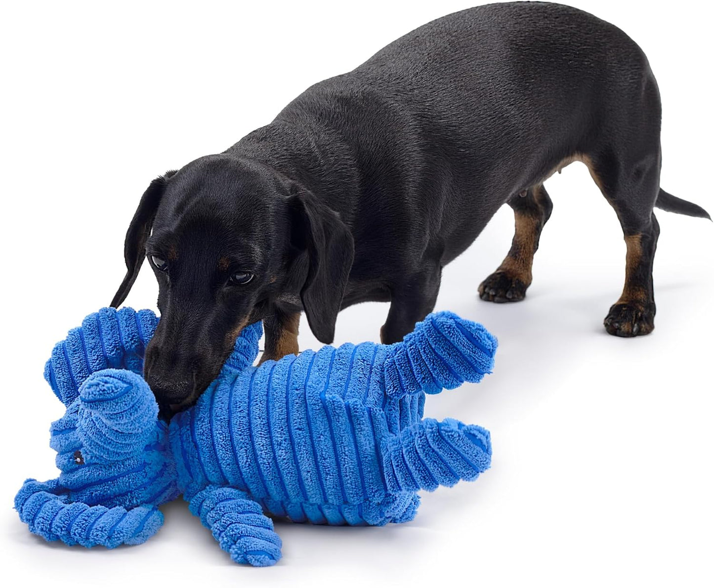 Blue Elephant Plush Dog Toy with Squeaker – Soft, Durable, Ribbed Plush for Cuddling and Play. Perfect for Small and Medium Dogs Who Enjoy a Squeaky Toy for Comfort and Interaction.