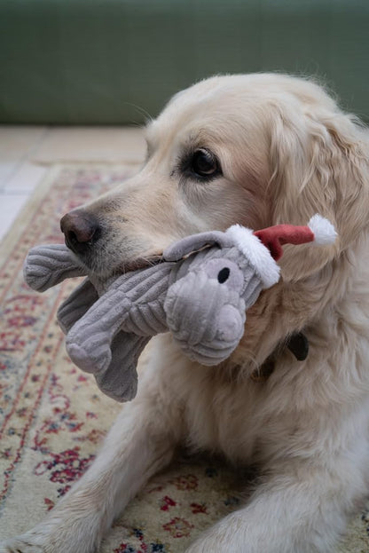 Christmas Freddi Plush Dog Toy with Built-In Squeaker (Pack of 1)