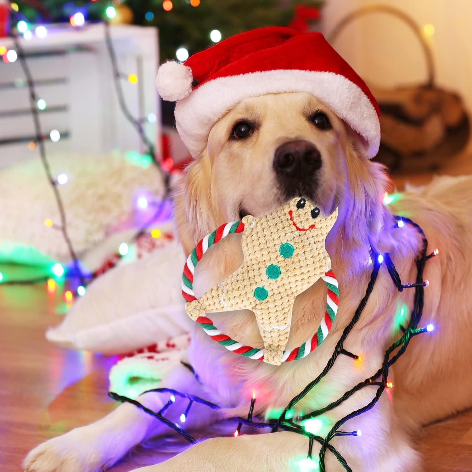 Christmas Dog Toys,Xmas Plush Stuffed Squeaky Pet Chew Toy Interactive Ginger Man Throw Bite Sounding Toys Funny Tug of War Dog Toy for Pet Puppy Small Medium Large Dogs Teeth Grinding Training