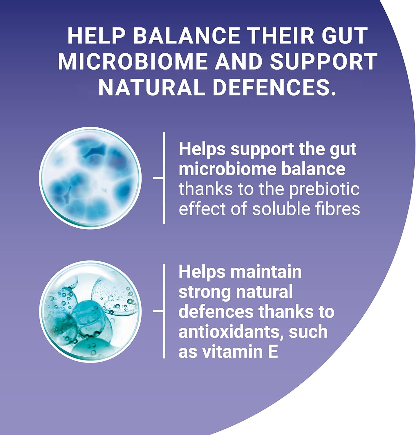 Adult Cat Food Mini Fillets in Gravy 40 X 85G