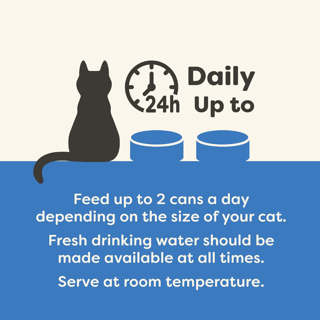 Applaws 100% Natural Wet Cat Food, Fish Selection in Broth 70 G (Pack of 12)