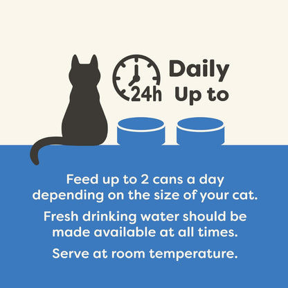 Applaws 100% Natural Wet Cat Food, Fish Selection in Broth 70 G (Pack of 12)