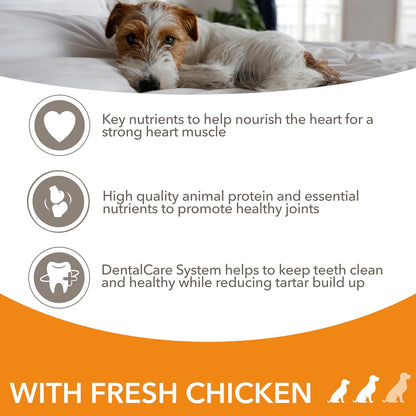 Senior Small Medium Complete Dry Dog Food Chicken 3Kg - with Dentalcare System