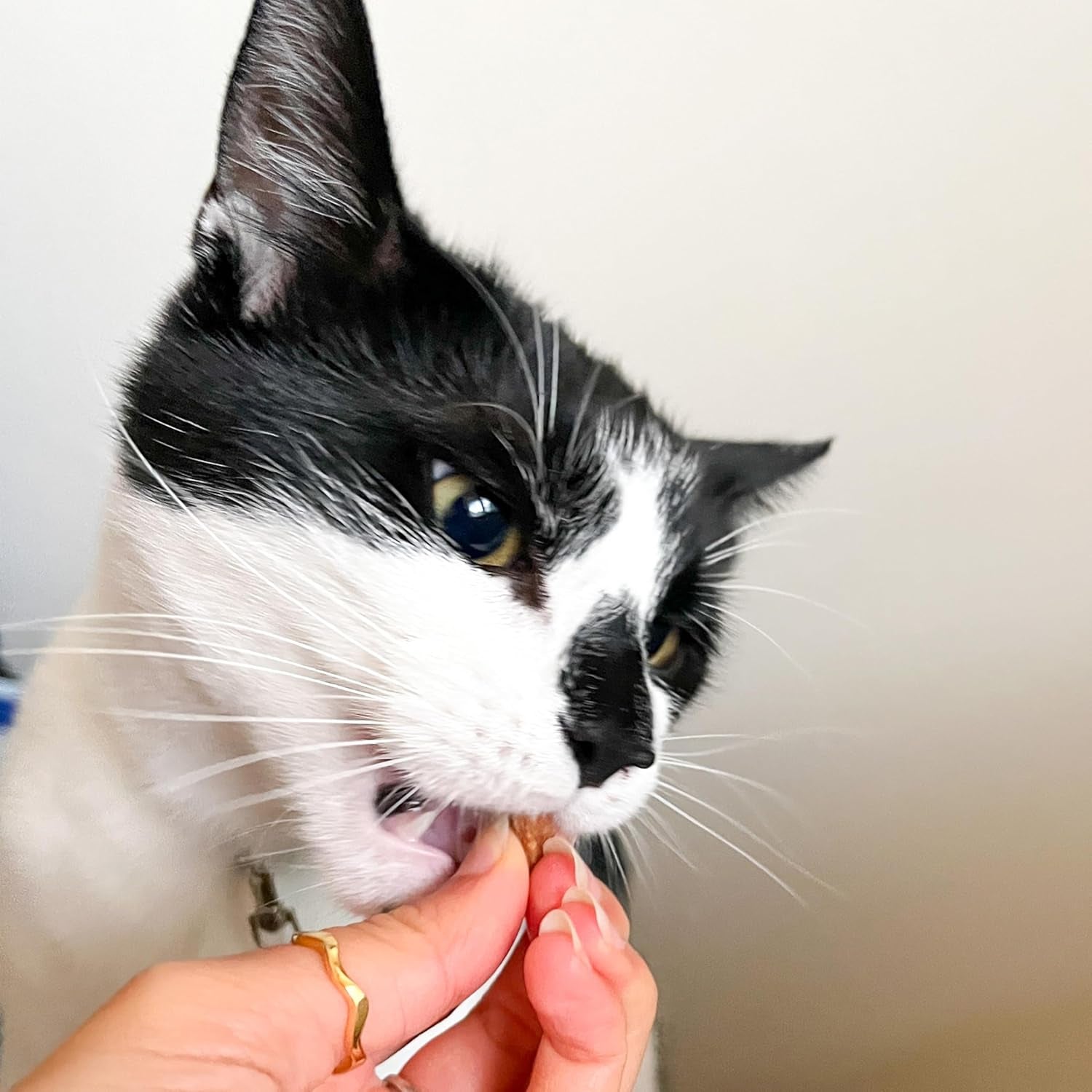 Scrumbles Dental Krunchies Cat Treats