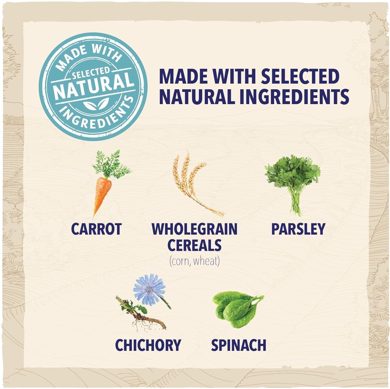 Puppy Small Breed Dry Dog Food Chicken 2Kg