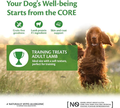 Training Treats Lamb & Apple, Soft Grain Free Dog Snacks, Perfect Rewards for Training, 170G