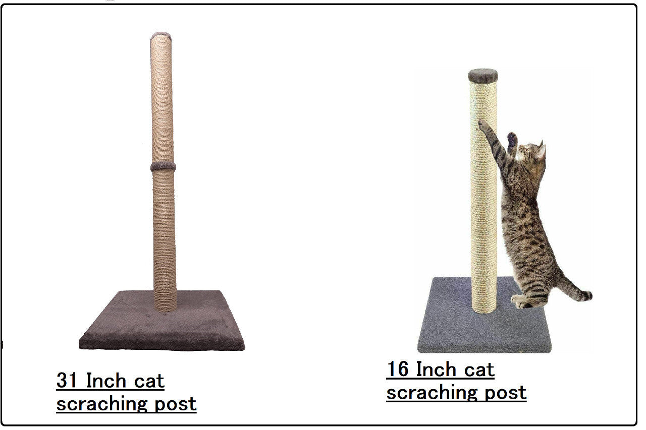 Cat Scratching Post Natural Sisal Pole and Carpet Covered 31 Inch Tall