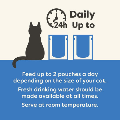 Applaws Natural Wet Cat Food Pouch, Fish Selection in Jelly 70 G (12 X 70 G Pouc