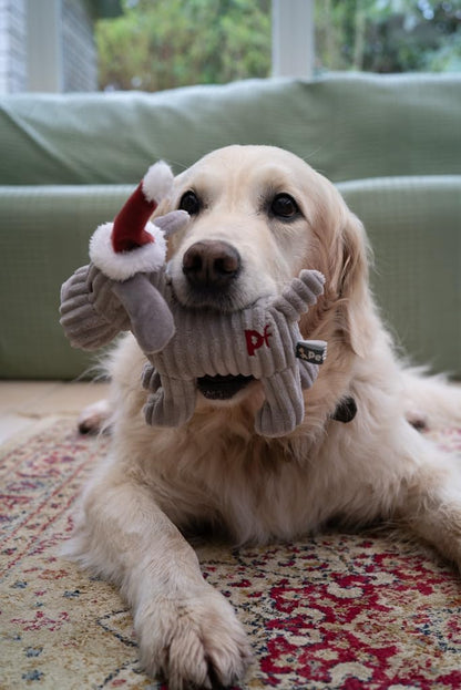 Christmas Freddi Plush Dog Toy with Built-In Squeaker (Pack of 1)