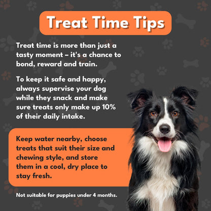 Small Buffalo Dental Chews, Healthy, Natural and Long-Lasting Dog Treats, Grain Free and Low in Fat 55G (4 Chews)