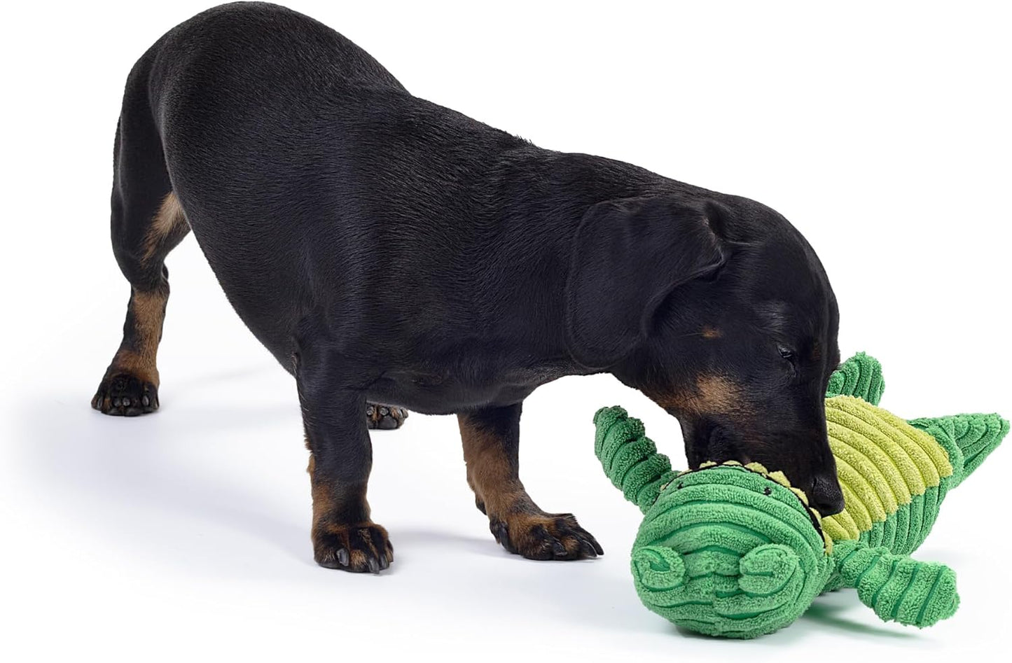 Green Frog Plush Dog Toy with Squeaker – Soft, Ribbed Fabric for Interactive Play. a Great Choice for Small and Medium Dogs' Playtime with Squeaky Toys.