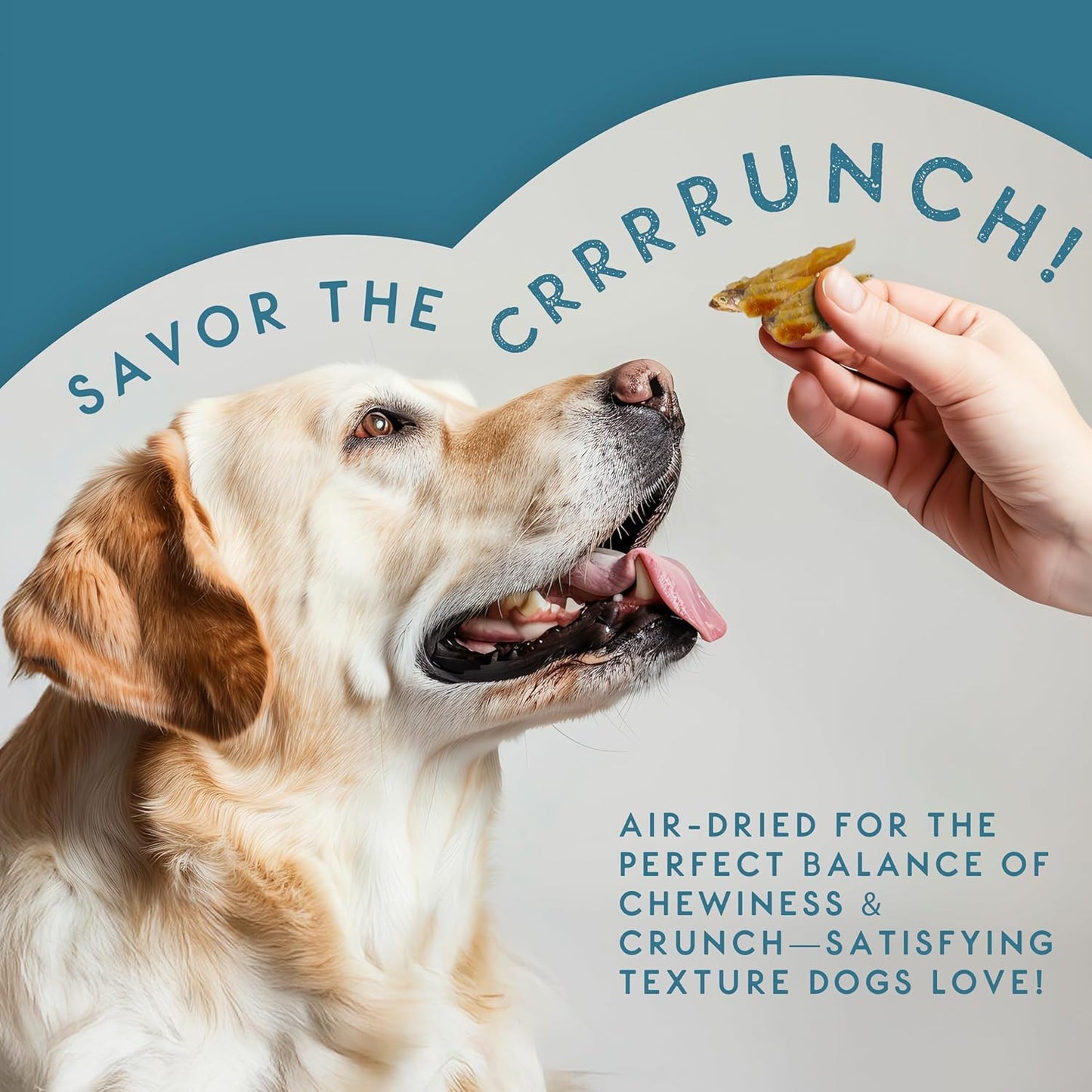 Natural Sprats Dog Treats 70G | 100% Chicken-Wrapped Wild-Caught Sprats | High Protein, Omega 3-Rich Fish Dog Treats | Air-Dried, Easy to Digest & Perfect for Training