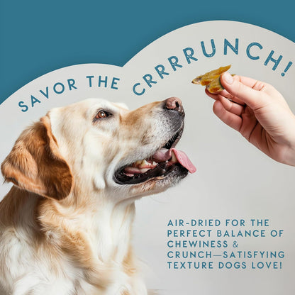Natural Sprats Dog Treats 70G | 100% Chicken-Wrapped Wild-Caught Sprats | High Protein, Omega 3-Rich Fish Dog Treats | Air-Dried, Easy to Digest & Perfect for Training