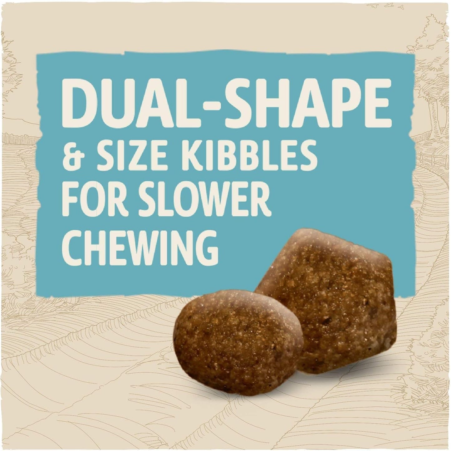 Puppy Small Breed Dry Dog Food Chicken 2Kg