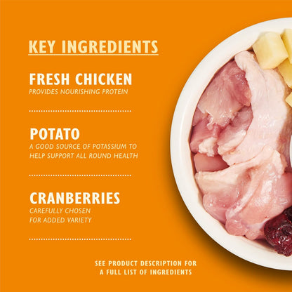 Made with Natural Ingredients Adult Dry Cat Food Bag Chicken with Veggies Grain-Free Recipe 2Kg