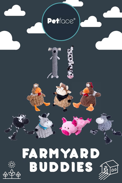 Farmyard Buddies Mini Chicken Plush Dog Toy