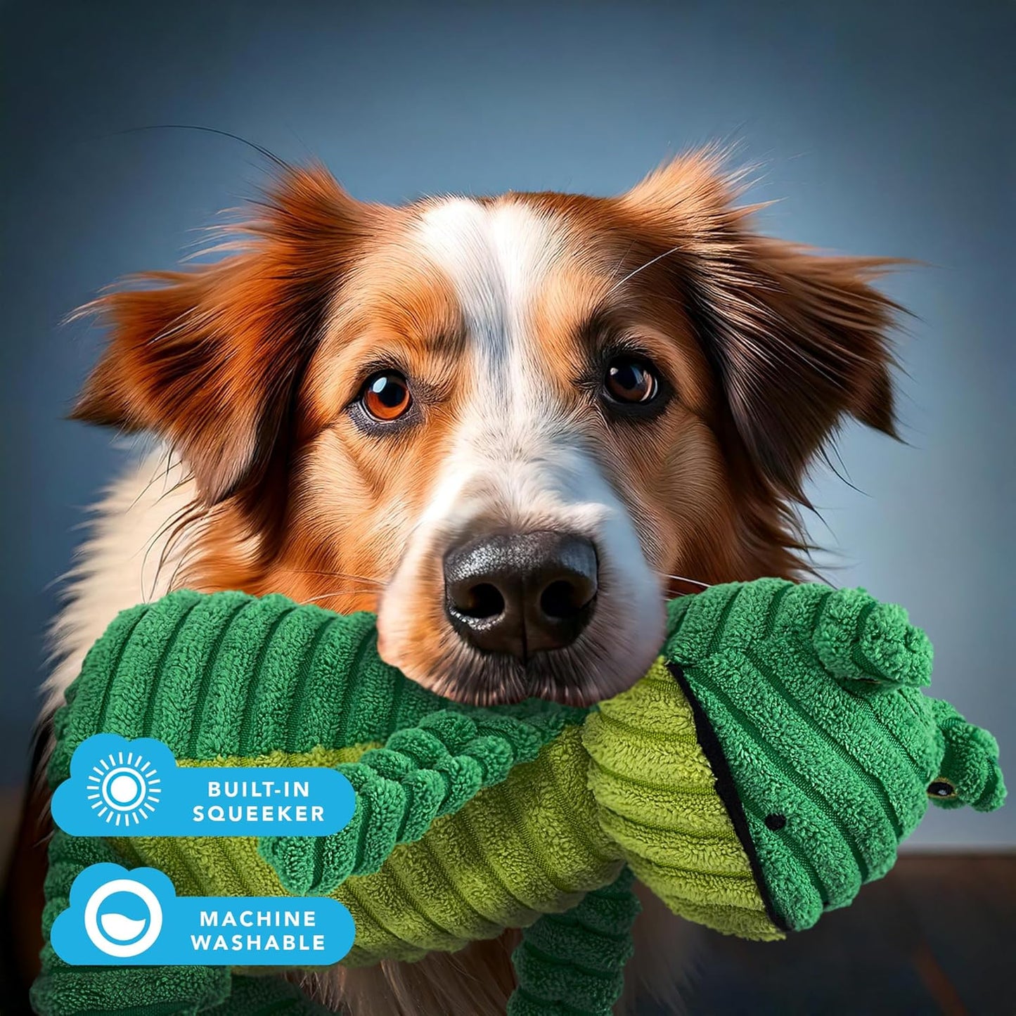 Green Frog Plush Dog Toy with Squeaker – Soft, Ribbed Fabric for Interactive Play. a Great Choice for Small and Medium Dogs' Playtime with Squeaky Toys.